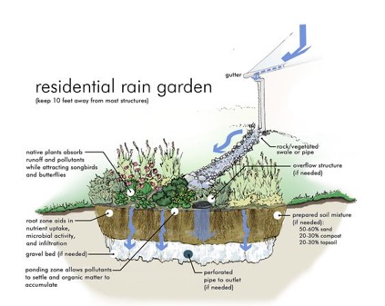 Rain garden for Rain water harvesting