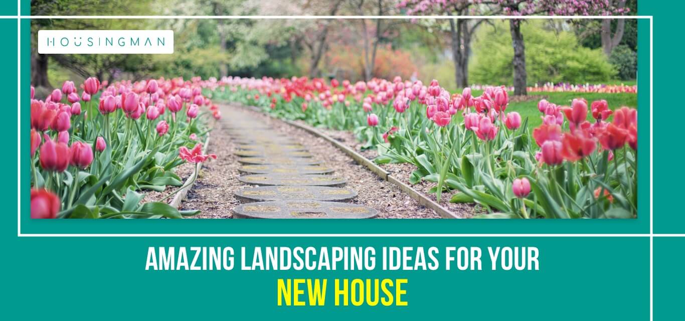 Landscaping ideas for new home