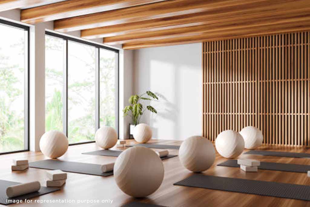 ATH Palladium    project features, image 2