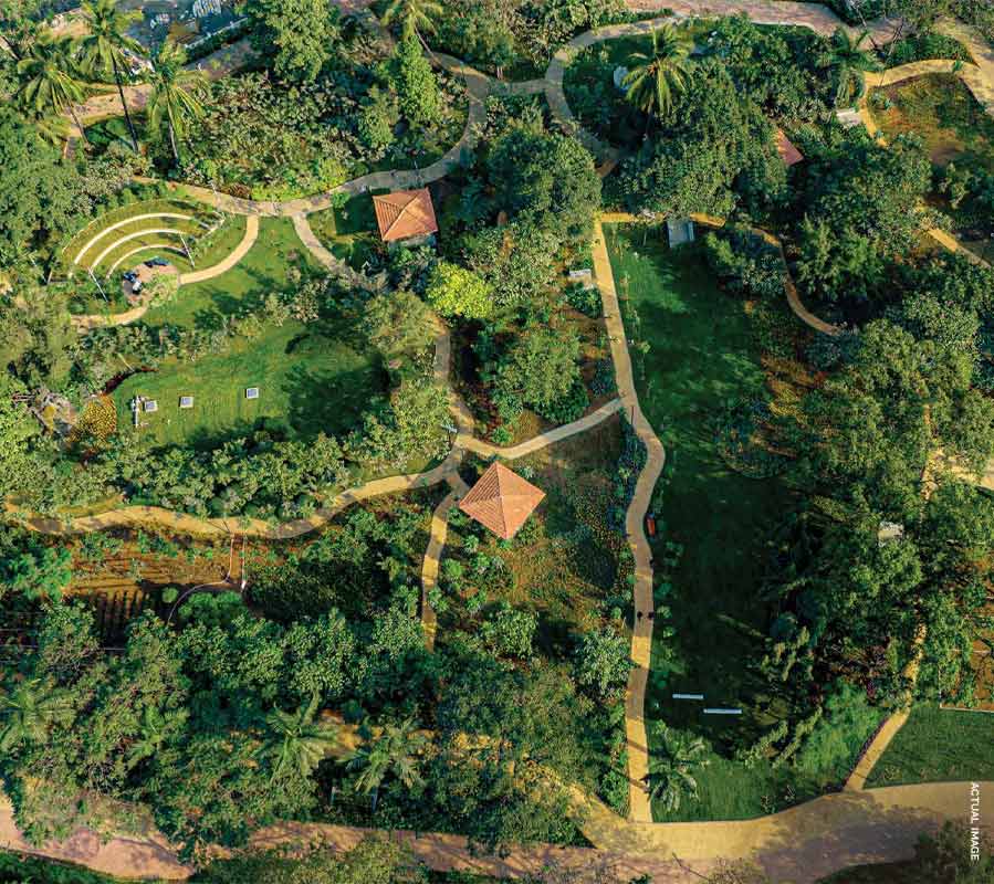 Codename Forevergreen , Specifications